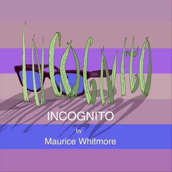 Cover art for Incognito